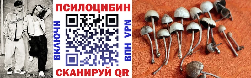 Псилоцибиновые грибы Magic Shrooms  где продают   Старая Русса 