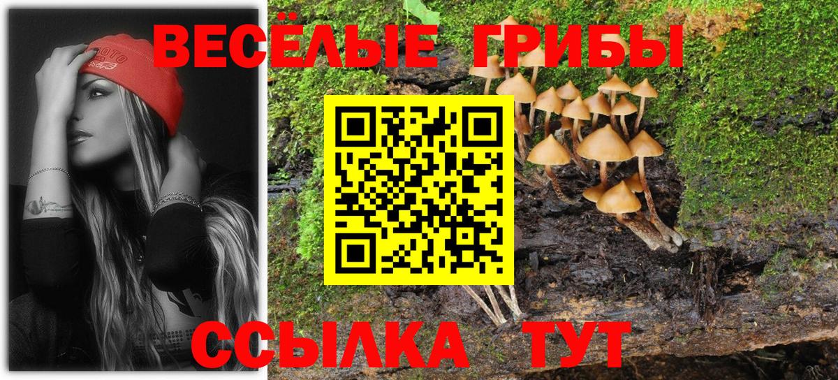 Псилоцибиновые грибы MAGIC MUSHROOMS Старая Русса